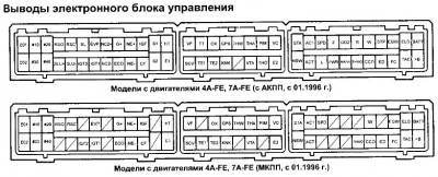 корона премия.jpg