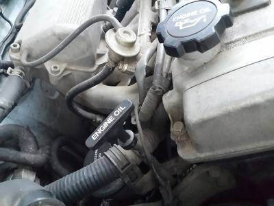 20150208_165343.jpg