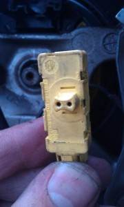 IMAG1437.jpg