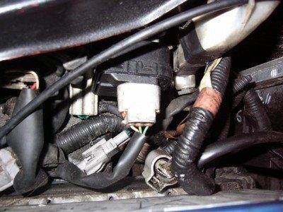 левая (Мелкий).JPG