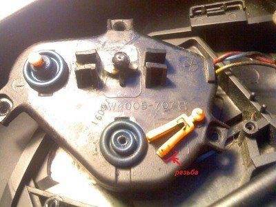 Ласточкин хвост и пыльник.jpg