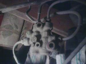 IMG0001Q.jpg