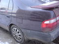 DSC07551.JPG