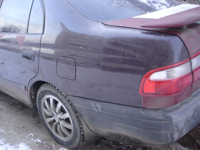 Файл:DSC07551.JPG
