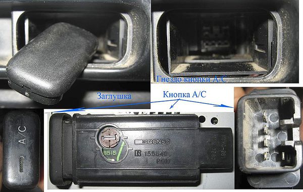 Knopka AC.jpg